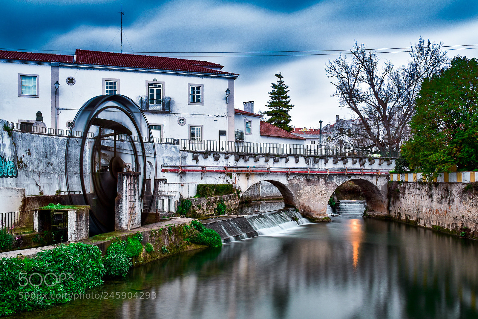 Nikon D5600 sample photo. Torres novas photography