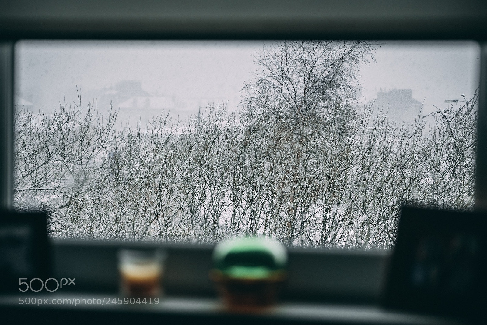 Fujifilm X-T2 sample photo. First proper snowfall in photography