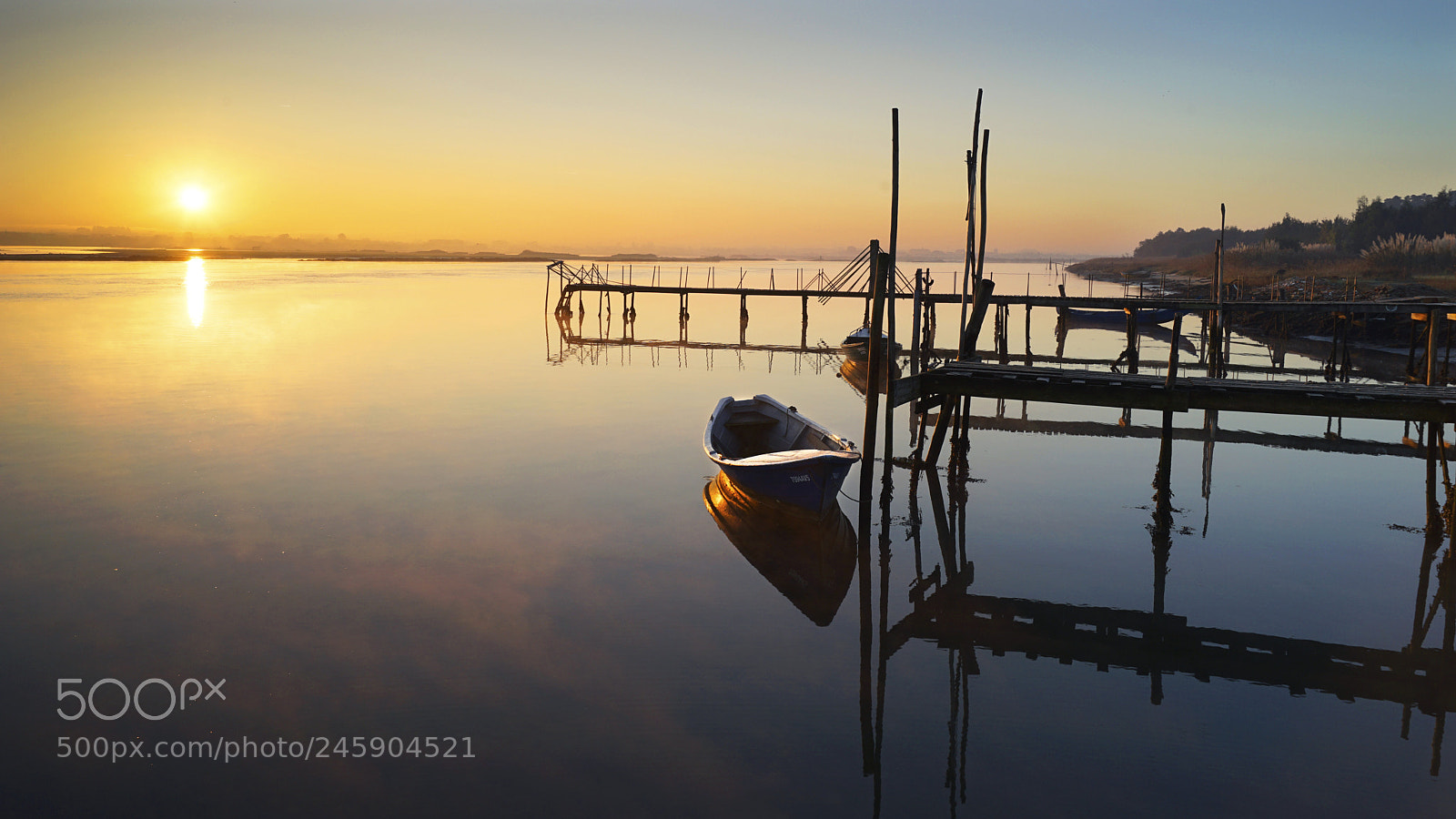 Sony a7 II sample photo. Paraphilic - ria de photography