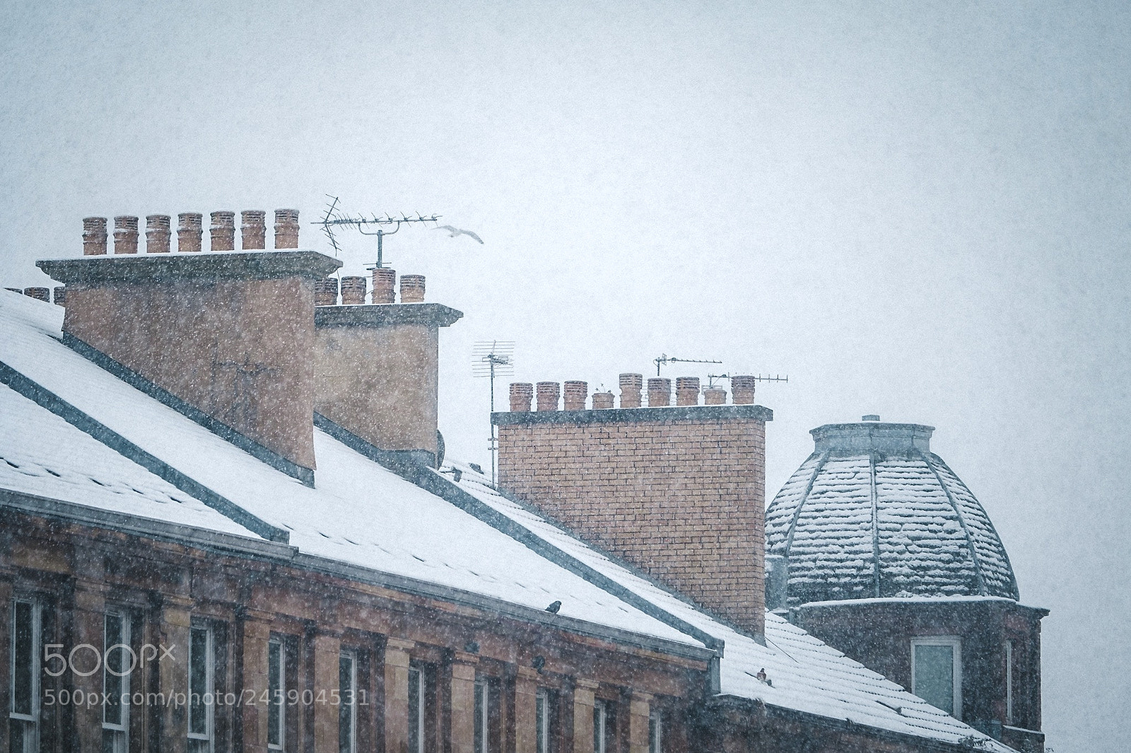 Fujifilm X-T2 sample photo. Glasgow tenement rooftops with photography