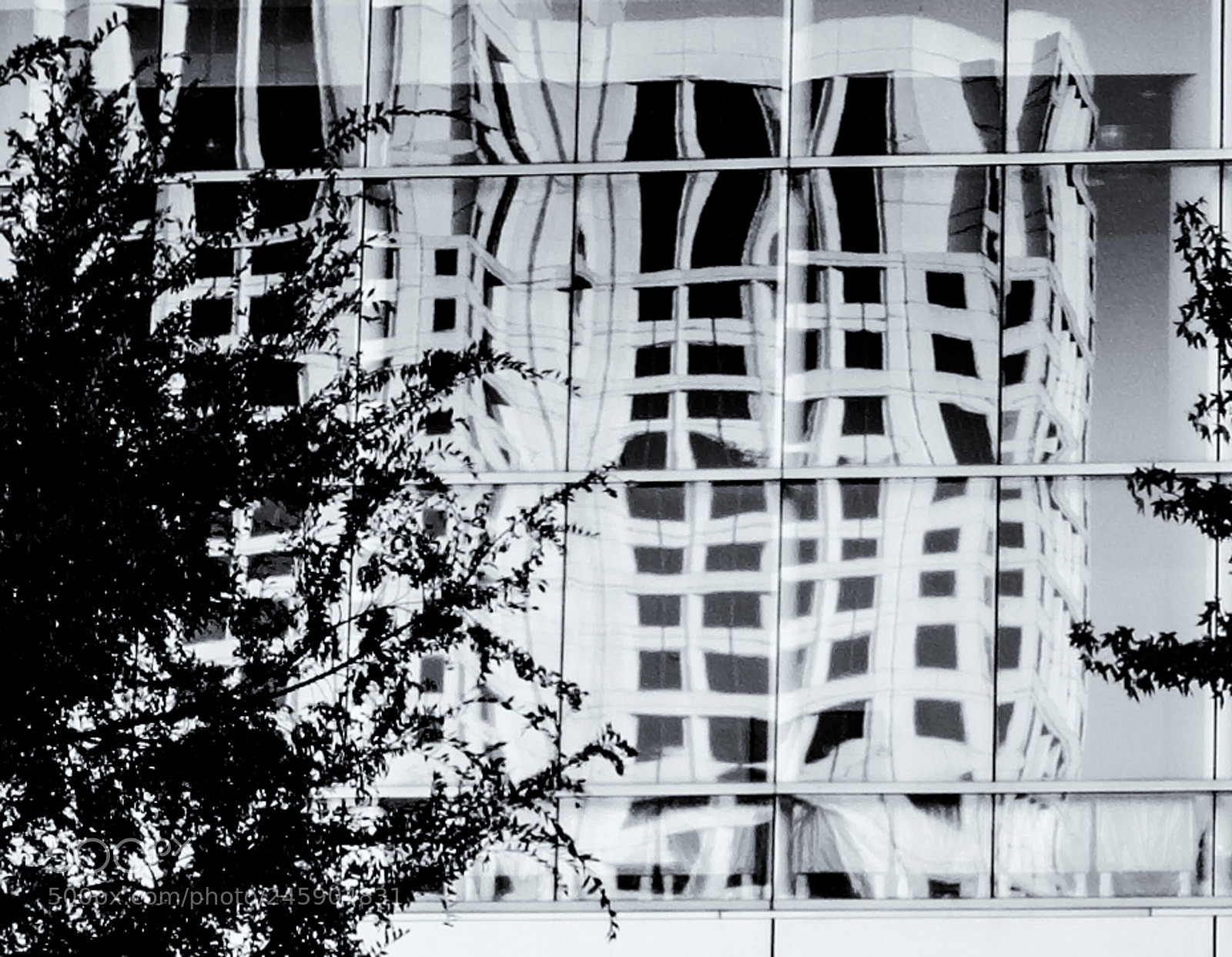 Fujifilm X100F sample photo. Untitled 63-2 photography