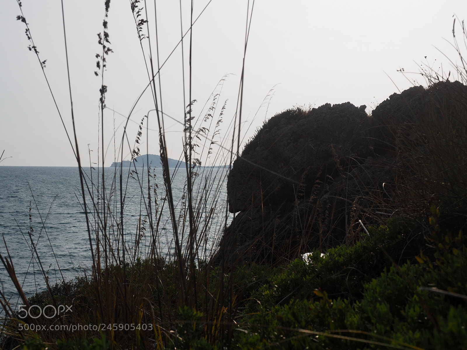 Olympus OM-D E-M5 II sample photo. Gianola 17p8306377 20k em5ii photography