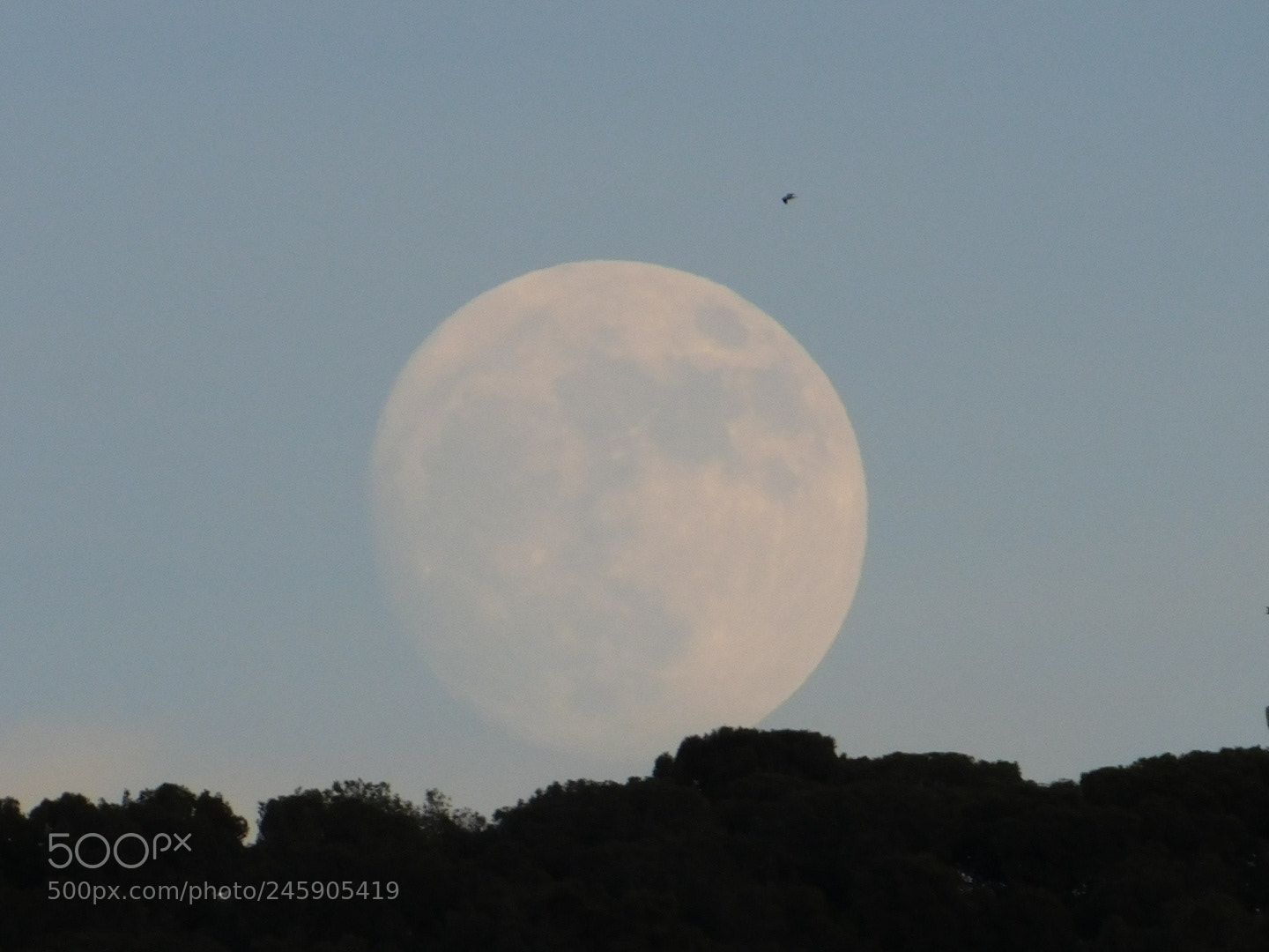 Nikon Coolpix B500 sample photo. New years super moon. photography