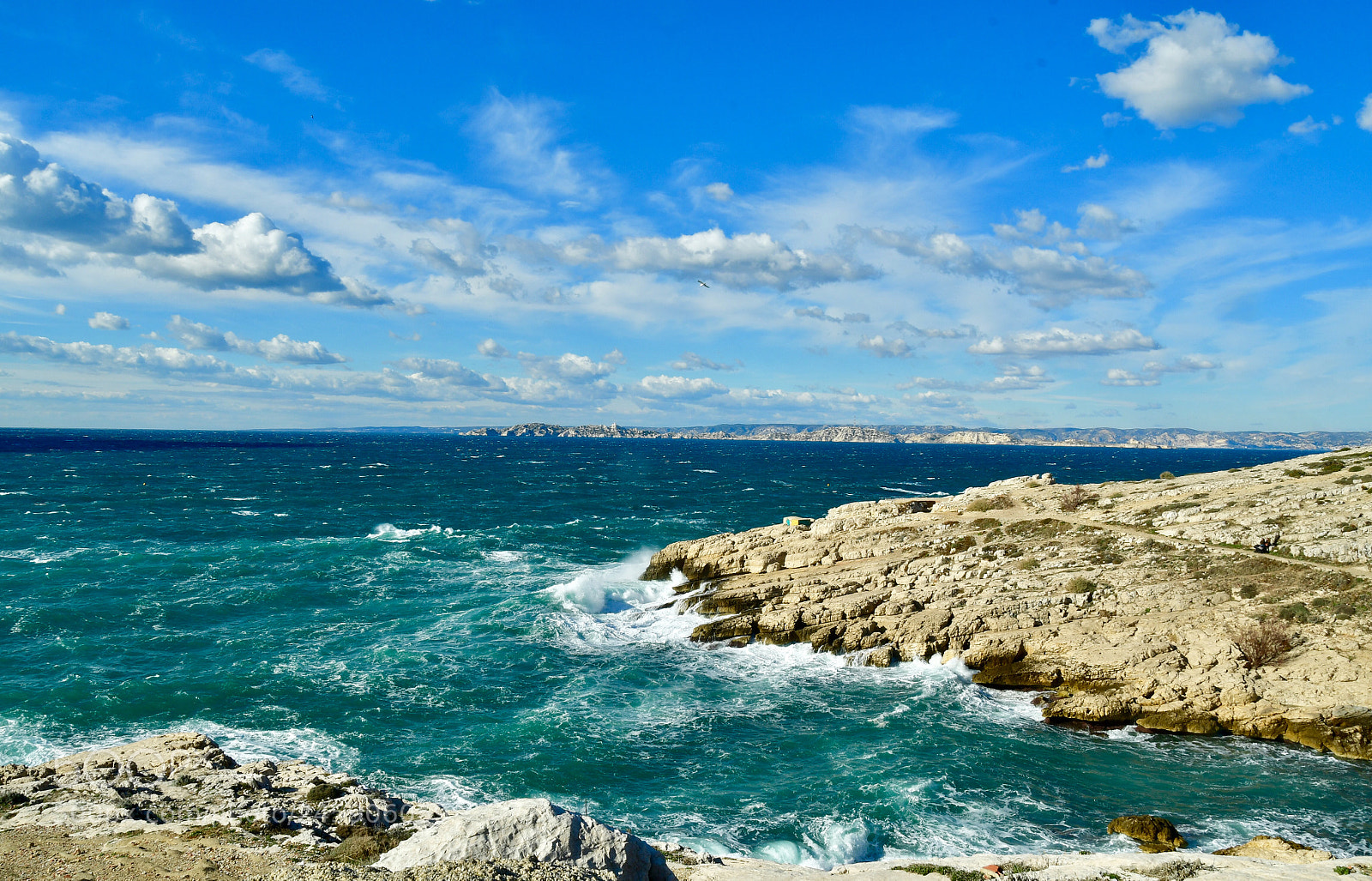 Nikon D500 sample photo. Blue note photography