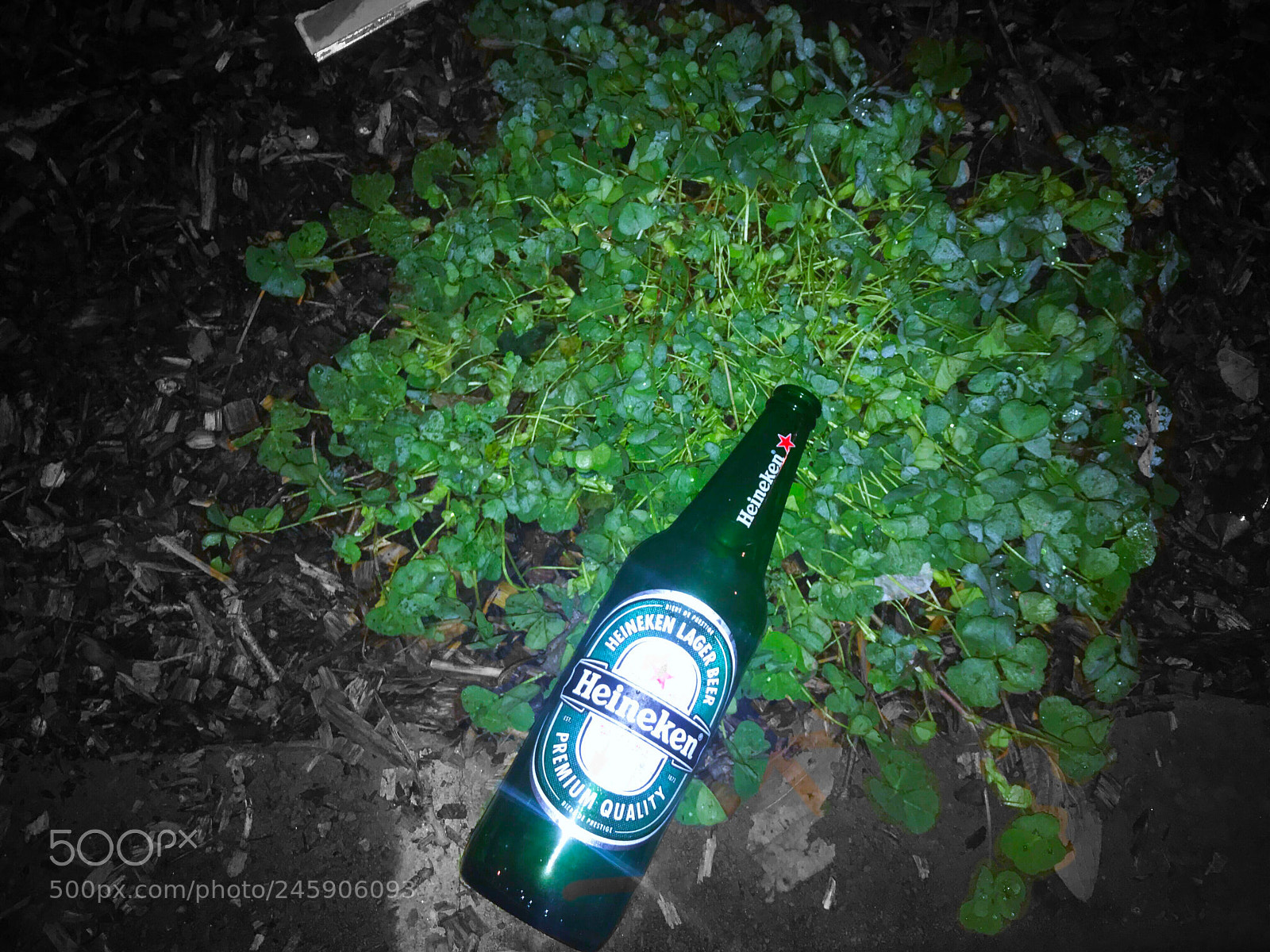 Apple iPhone 7 sample photo. Untitled photography