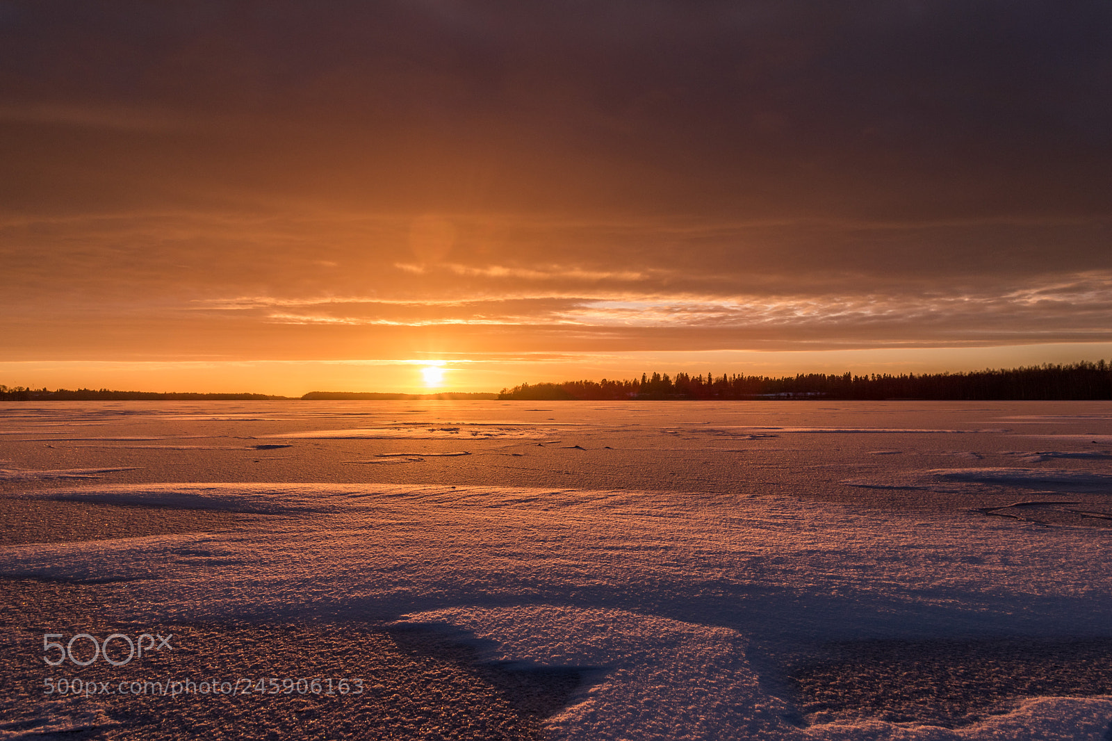 Nikon D5600 sample photo. Winter sunset photography