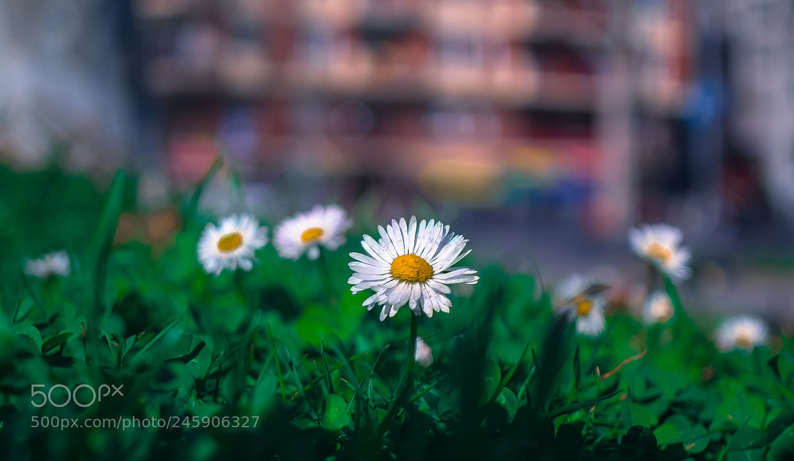 Fujifilm X-T10 sample photo. The district of the photography
