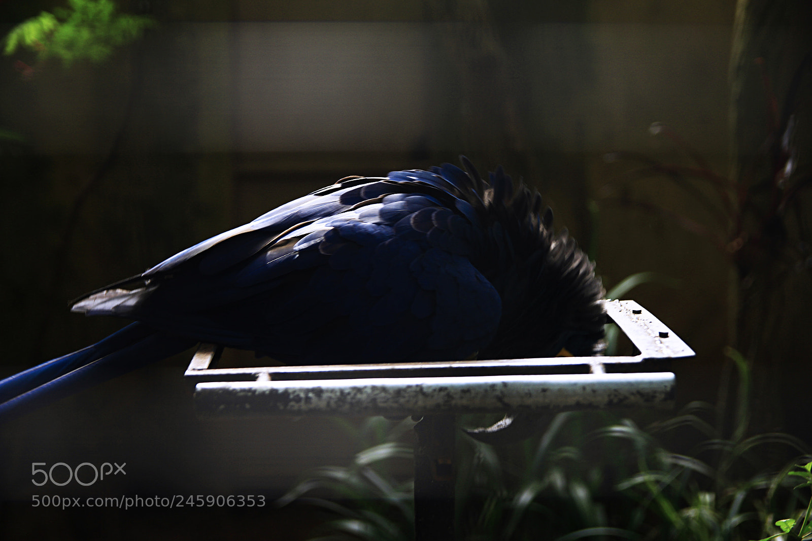 Canon EOS 60D sample photo. 06 photography