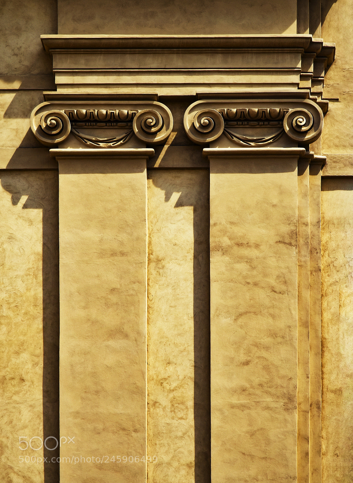 Nikon D5500 sample photo. Detail of relief columns photography