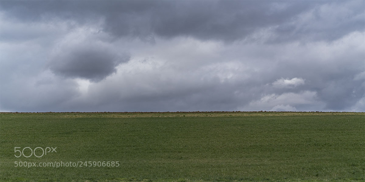 Sony a7R II sample photo. Winter impressionen photography