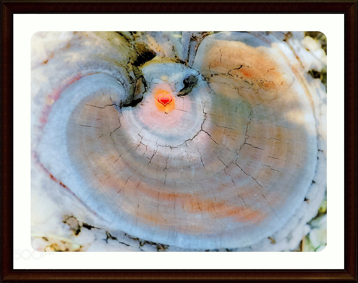 Canon PowerShot SX270 HS sample photo. 500 px valentine. photography