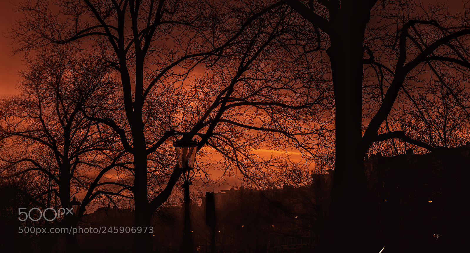 Leica SL (Typ 601) sample photo. Sunset truth photography