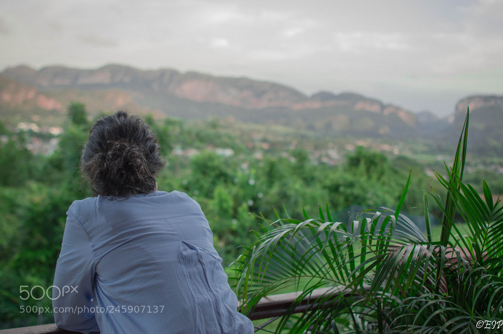 Nikon D3200 sample photo. New scenes photography