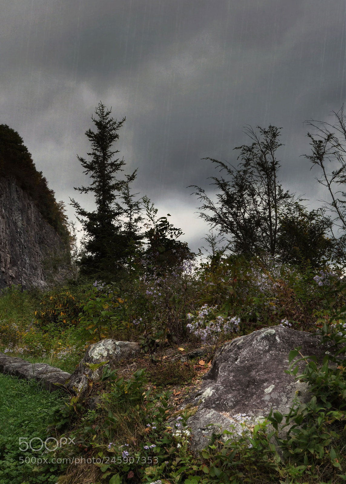 Nikon D7100 sample photo. High country rain photography
