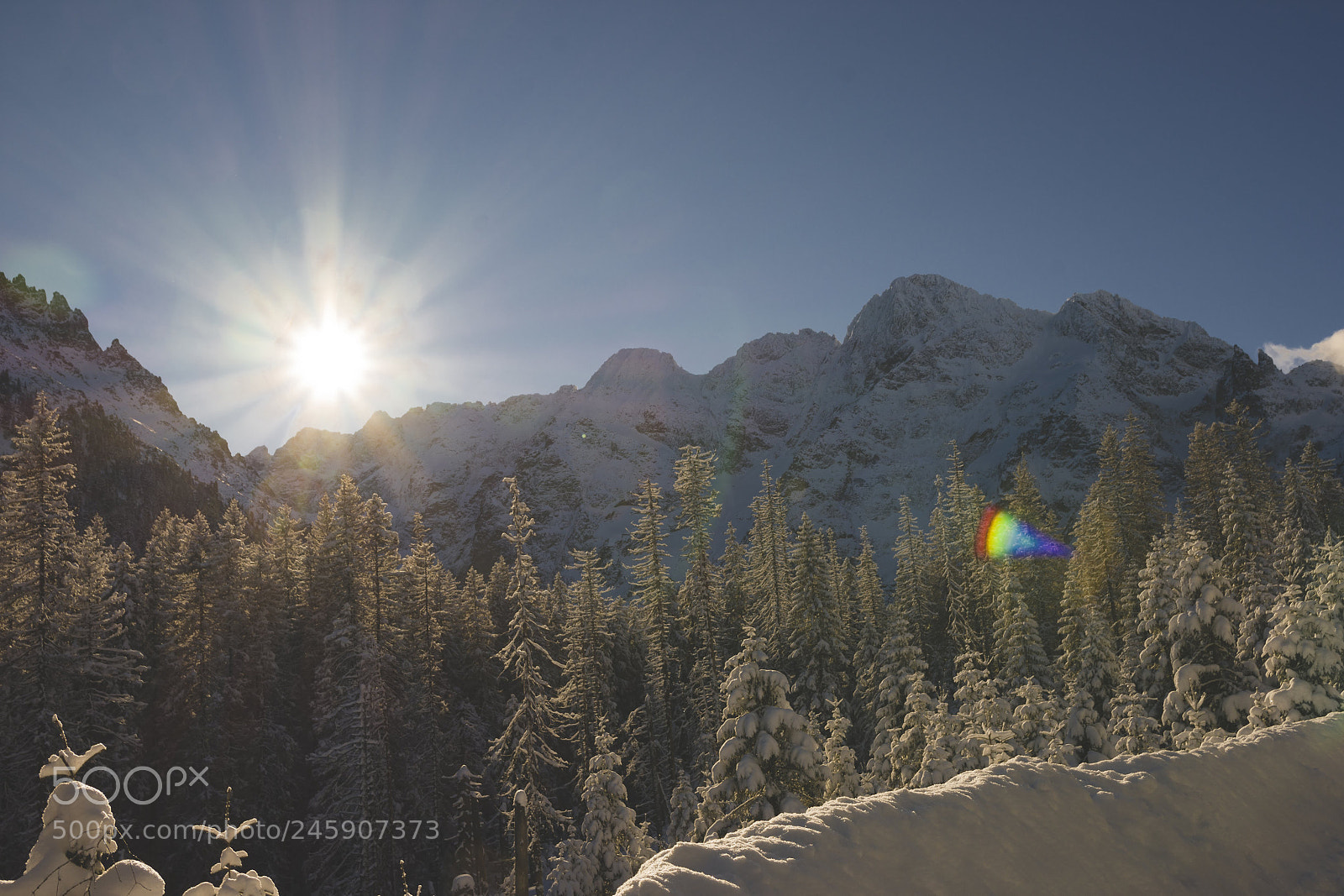 Nikon D7200 sample photo. Tatra mountains photography