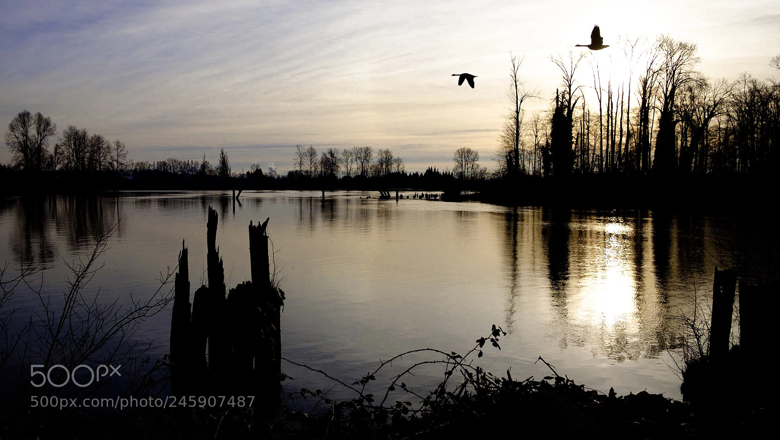 Fujifilm X-T10 sample photo. Sunset on the fraser photography