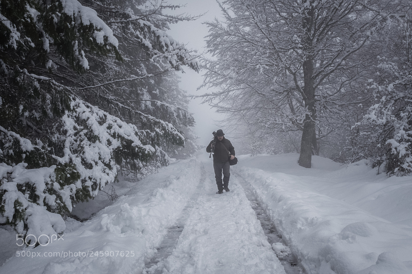 Sony a7 II sample photo. El yeti de las photography