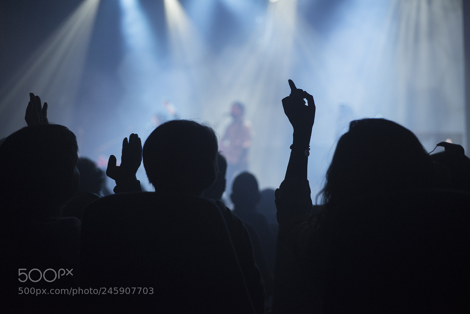 Nikon D610 sample photo. Els amics de les photography