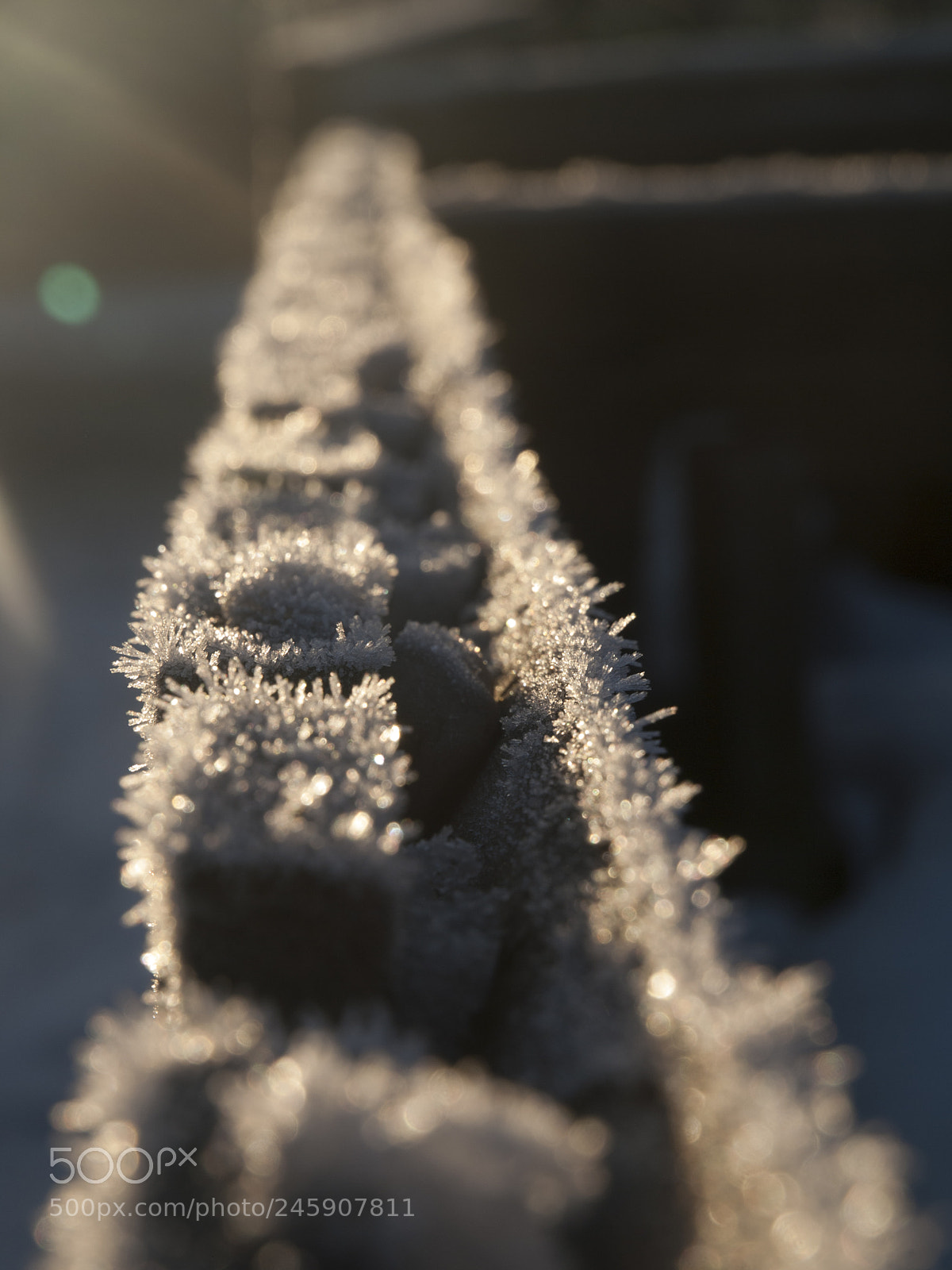 Olympus E-3 sample photo. Winter road photography