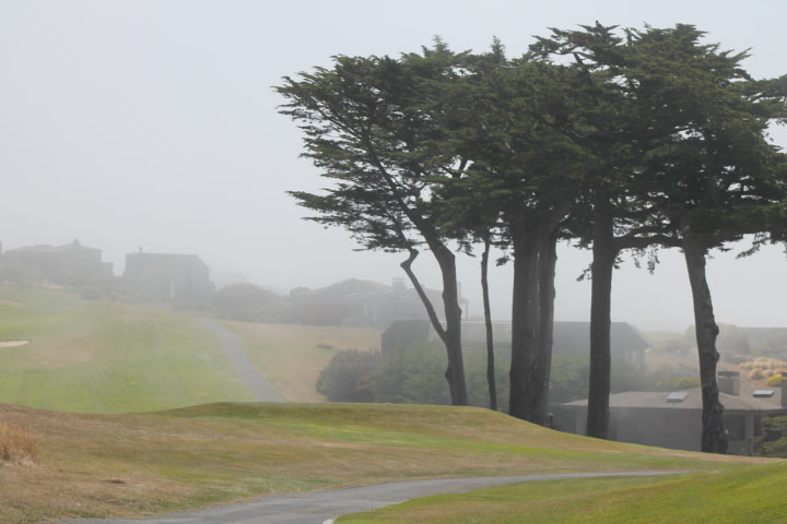 Canon EOS 1100D (EOS Rebel T3 / EOS Kiss X50) + EF75-300mm f/4-5.6 sample photo. Bodega bay photography