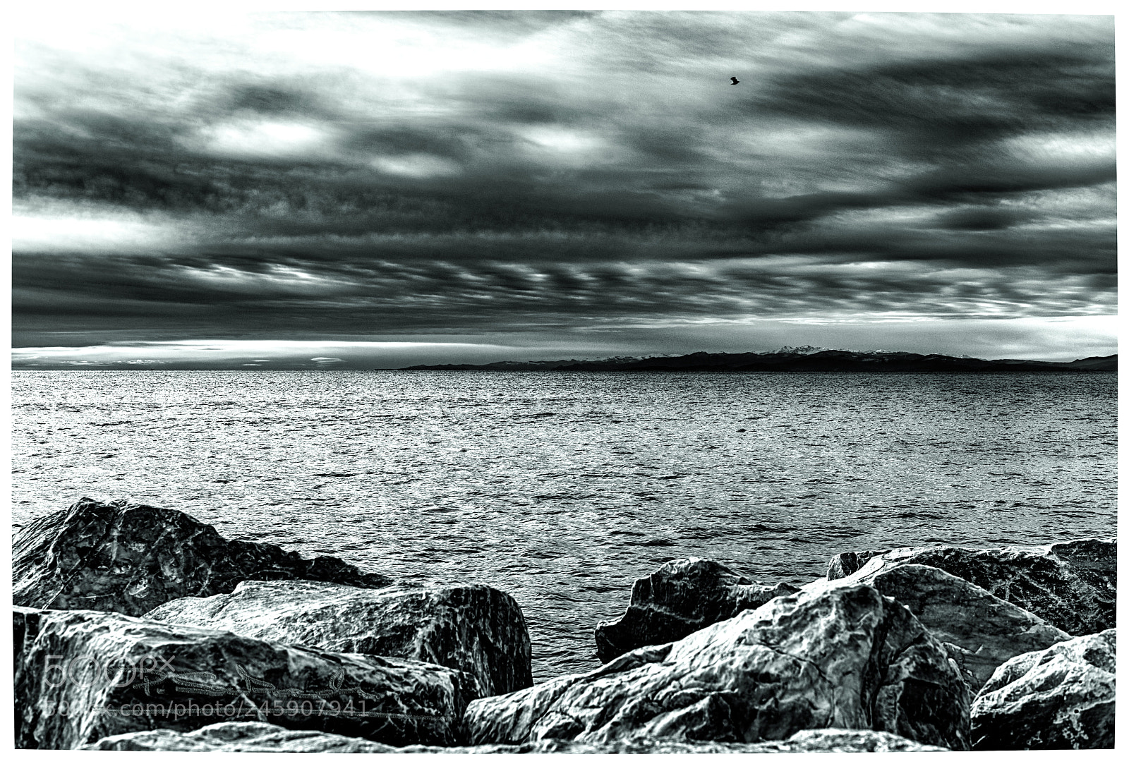 Nikon D810 sample photo. Frozen between earth and photography