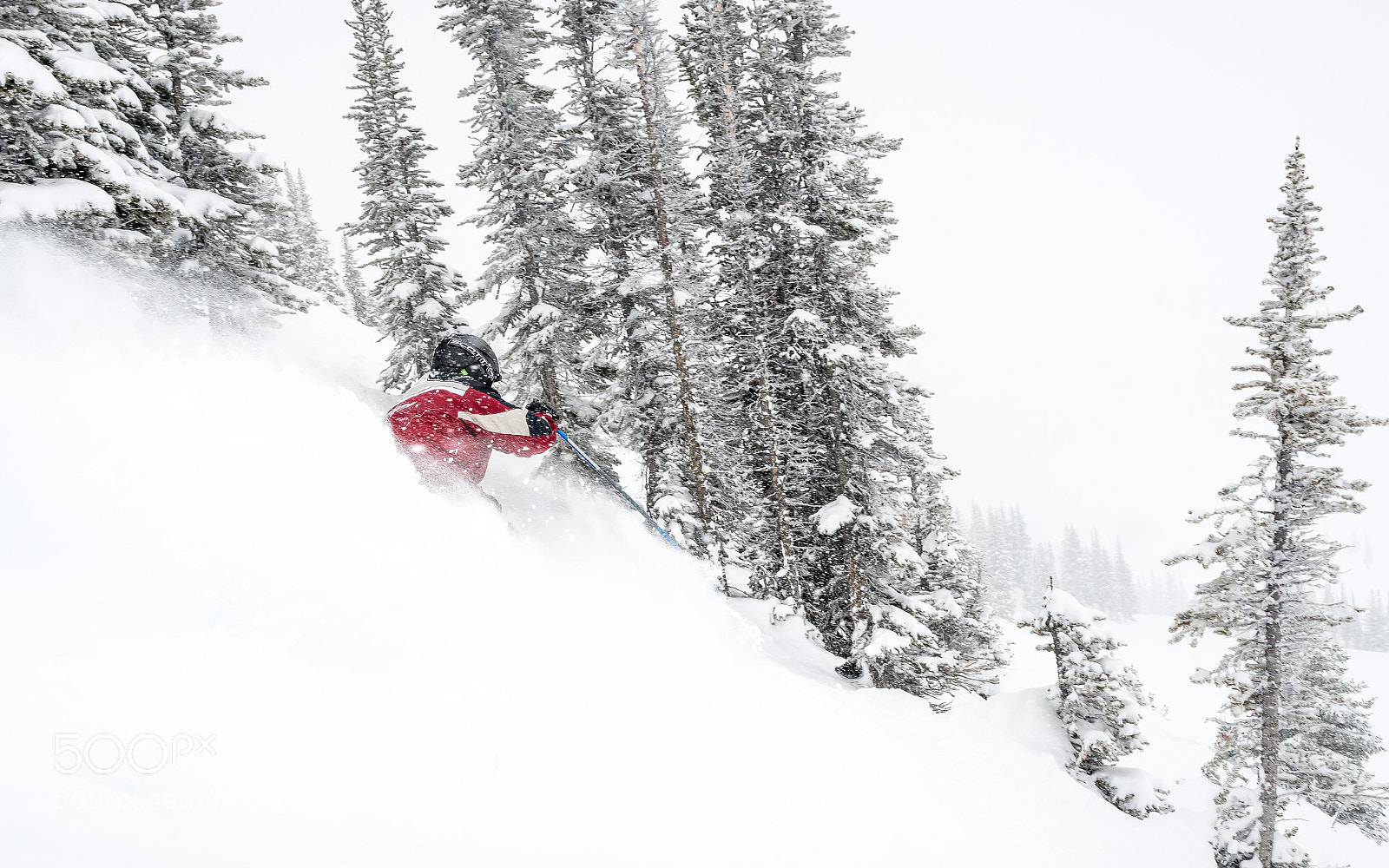 Nikon D500 sample photo. Deep powder photography