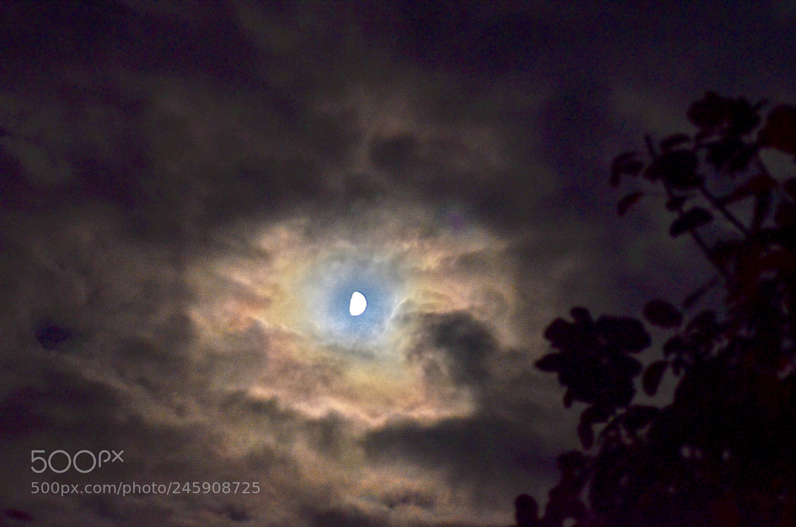 Nikon D5100 sample photo. Moonspell photography
