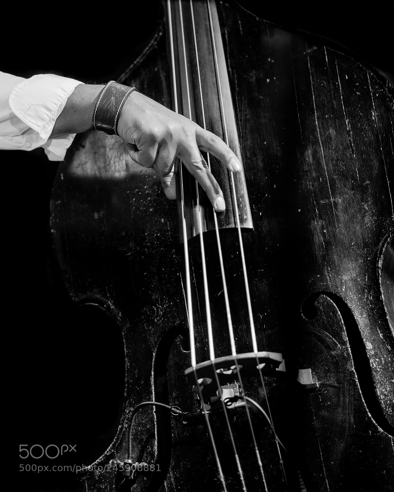 Sony a7R II sample photo. Double bass photography