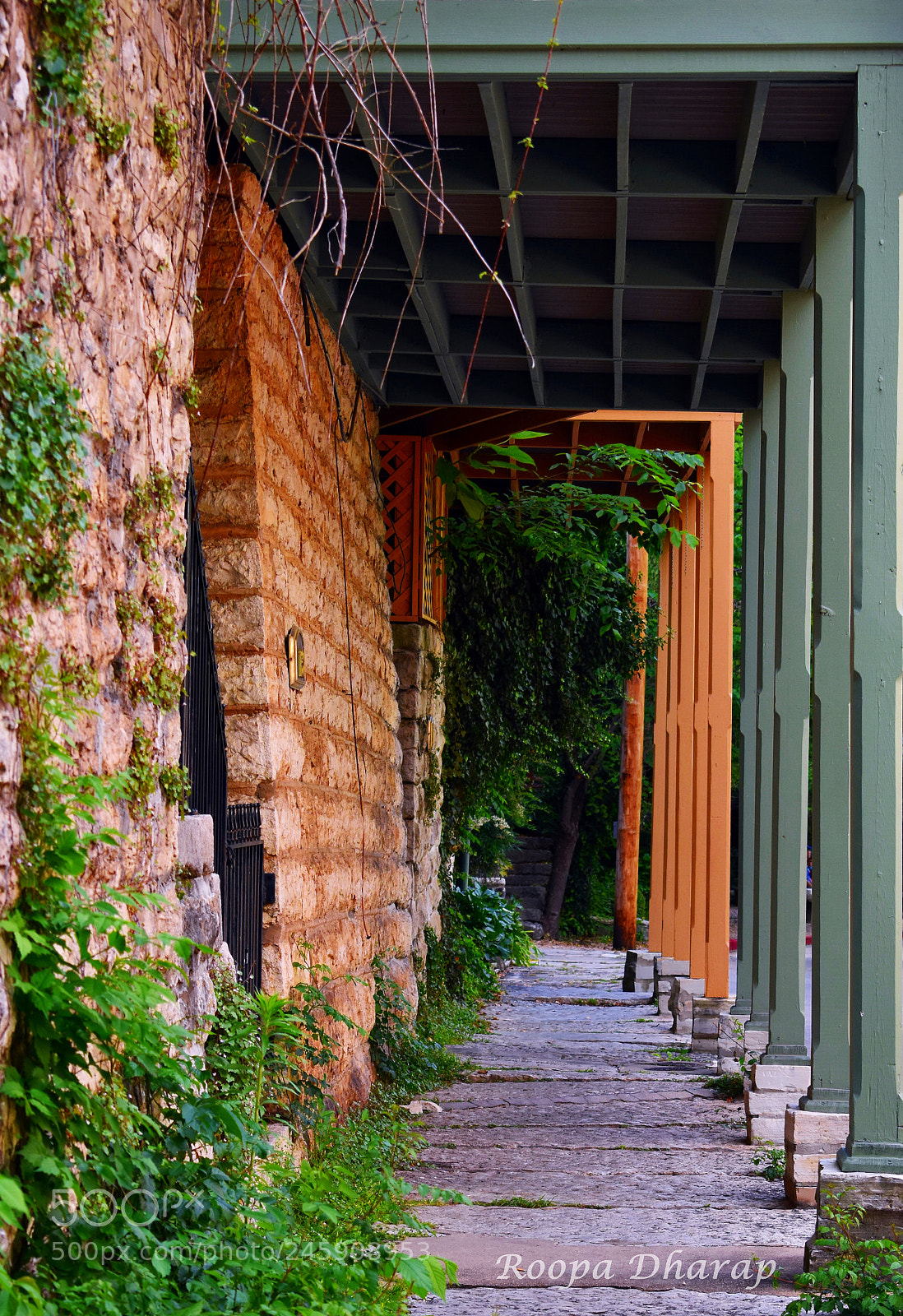 Nikon D3400 sample photo. Path photography