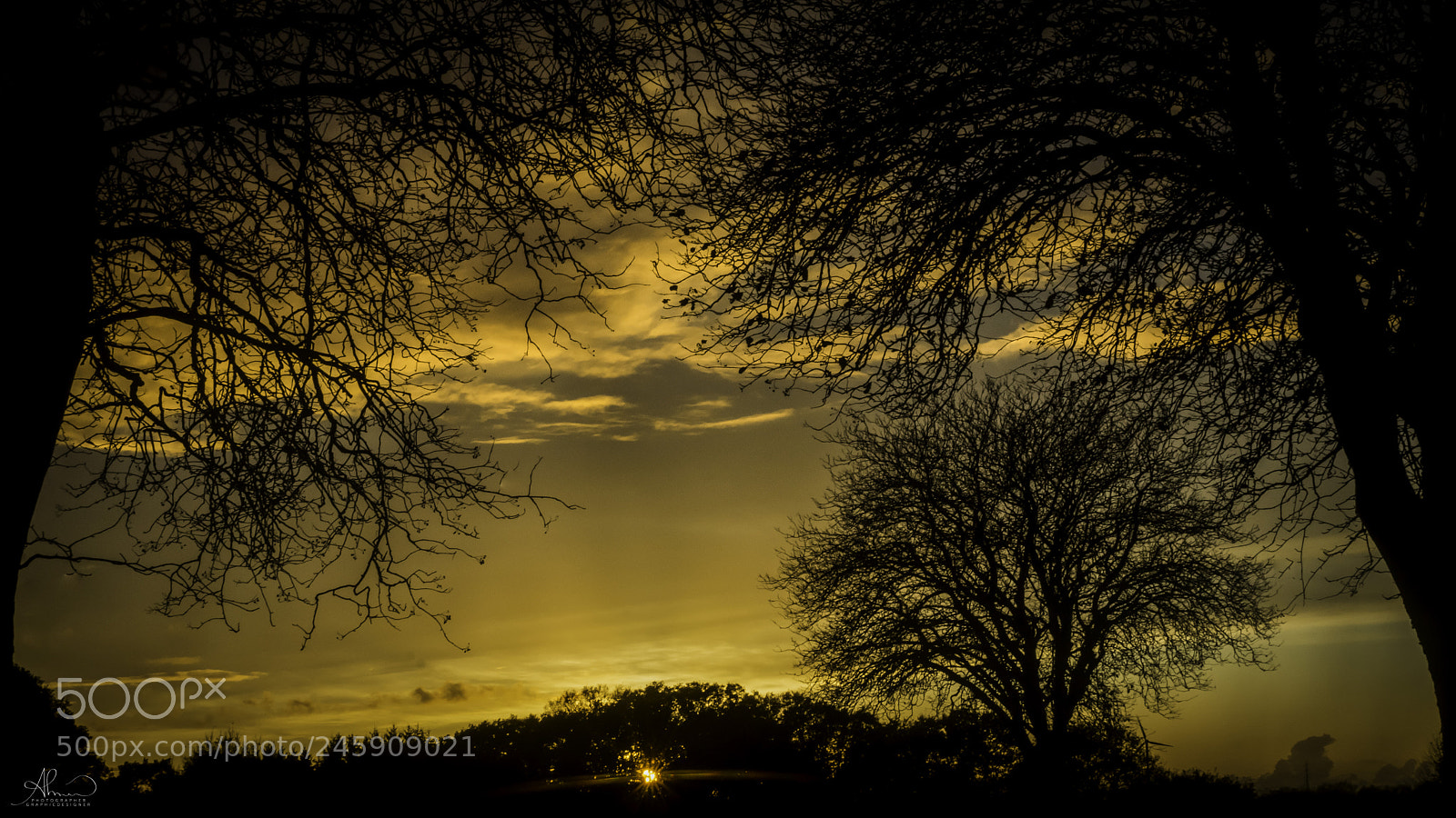 Sony SLT-A77 sample photo. Silhouette photography