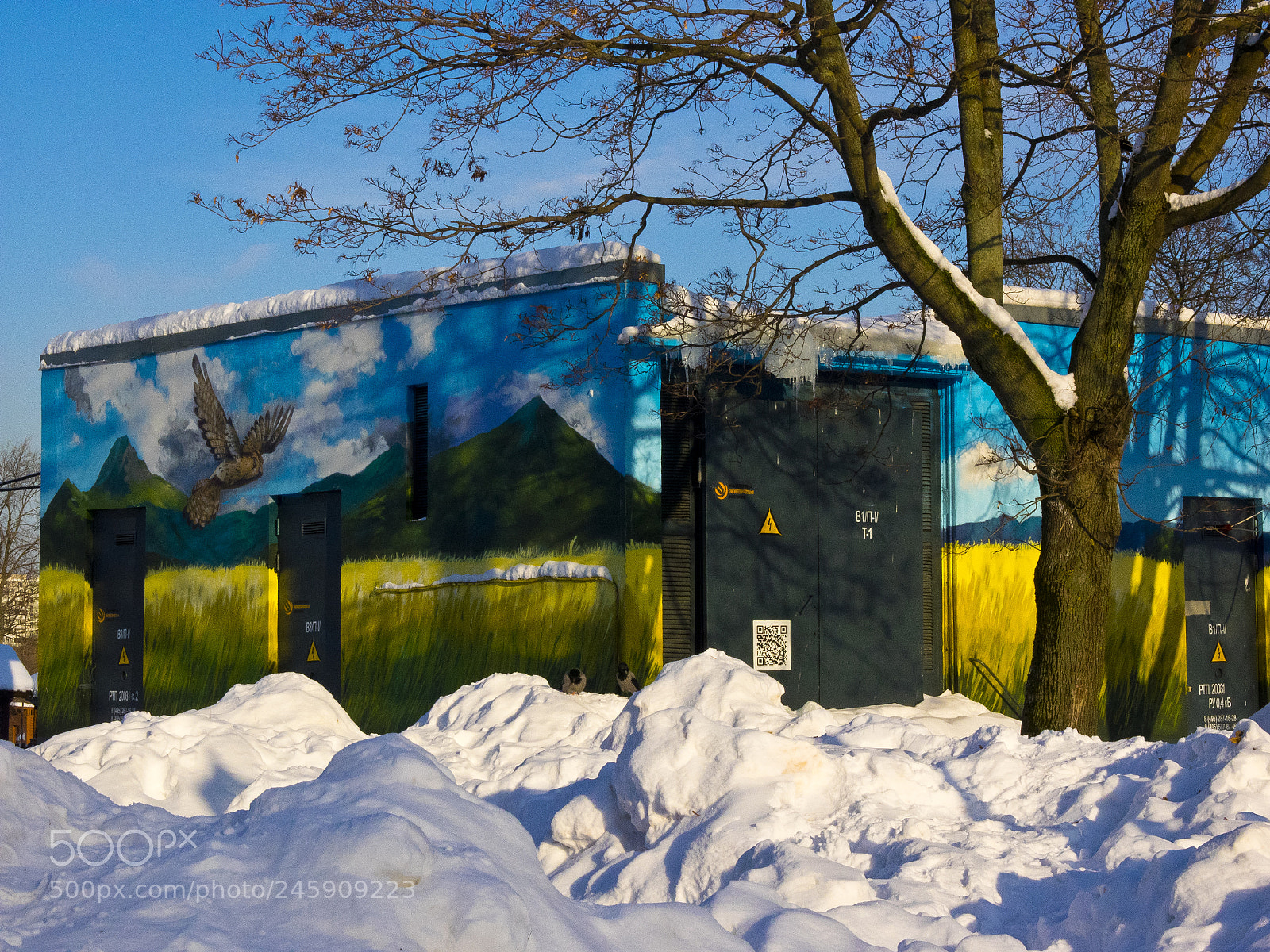 Olympus OM-D E-M1 sample photo. The blue winter landscape photography