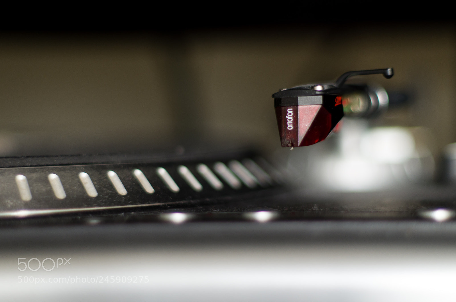 Pentax K-50 sample photo. Analog photography