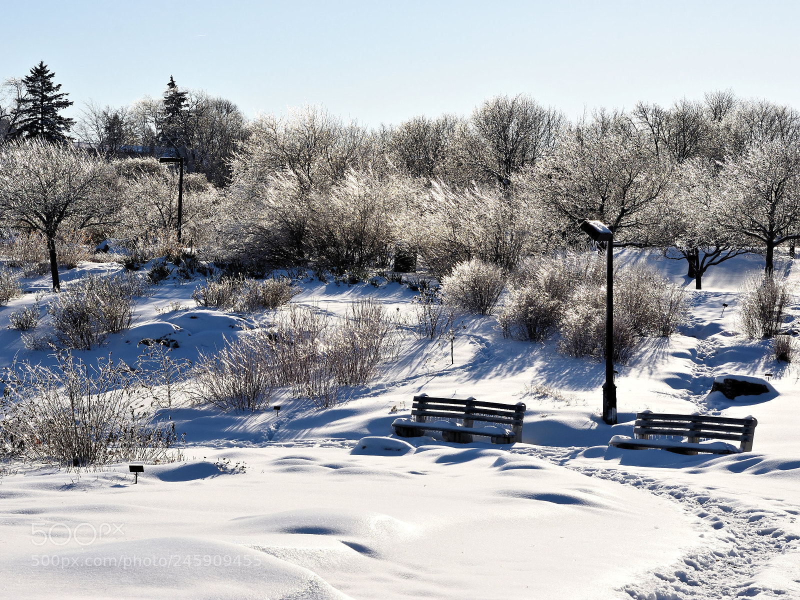 Nikon D7200 sample photo. Glisten photography