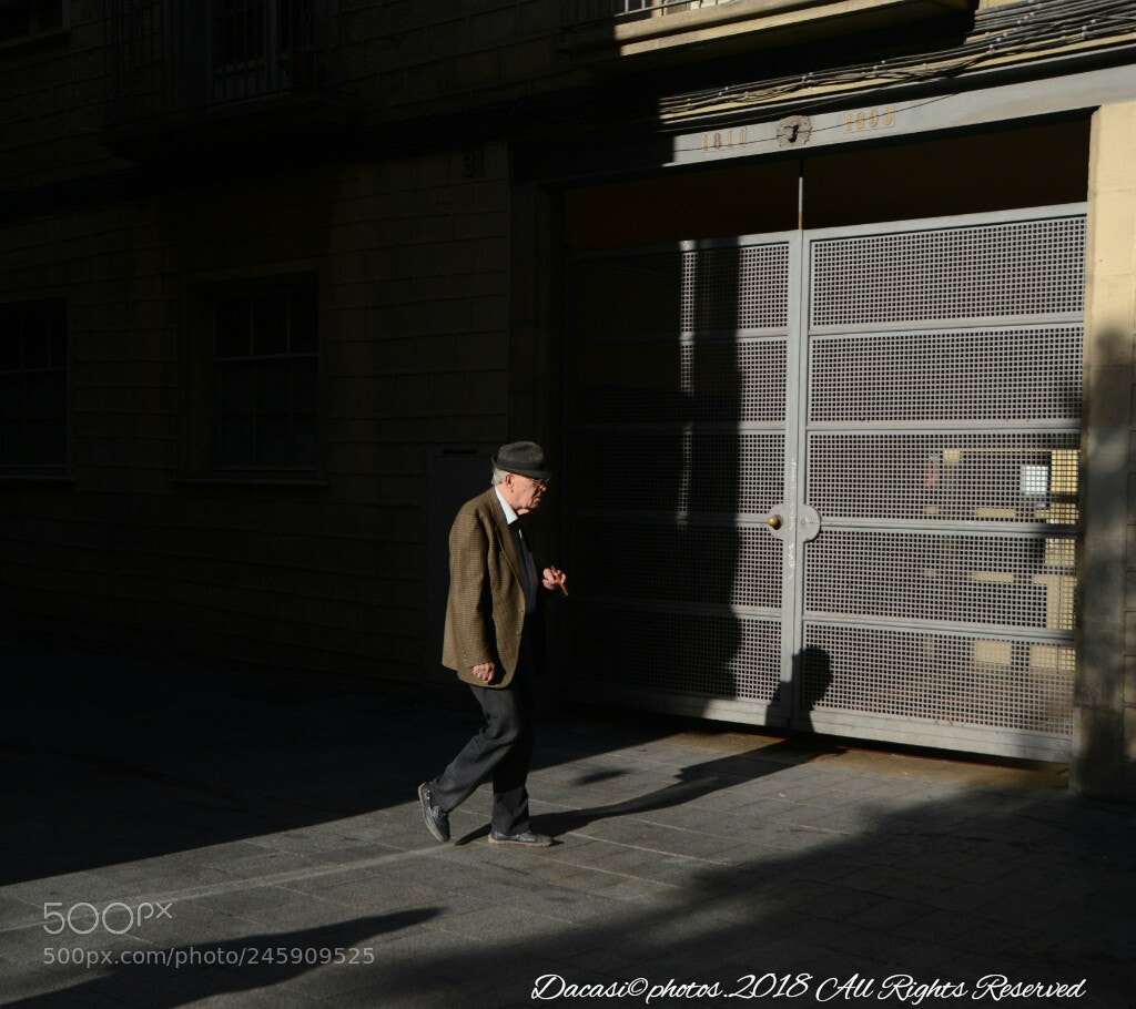 Nikon D3100 sample photo. Untitled photography