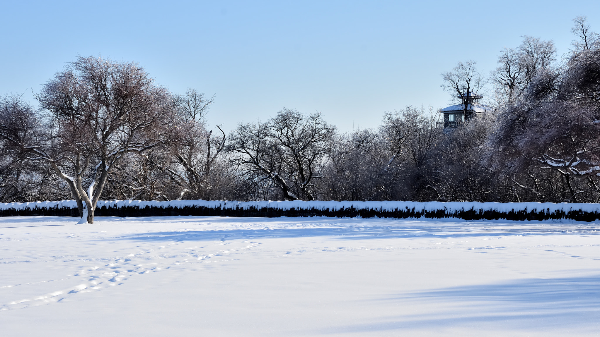 Nikon D7200 sample photo. Glisten photography