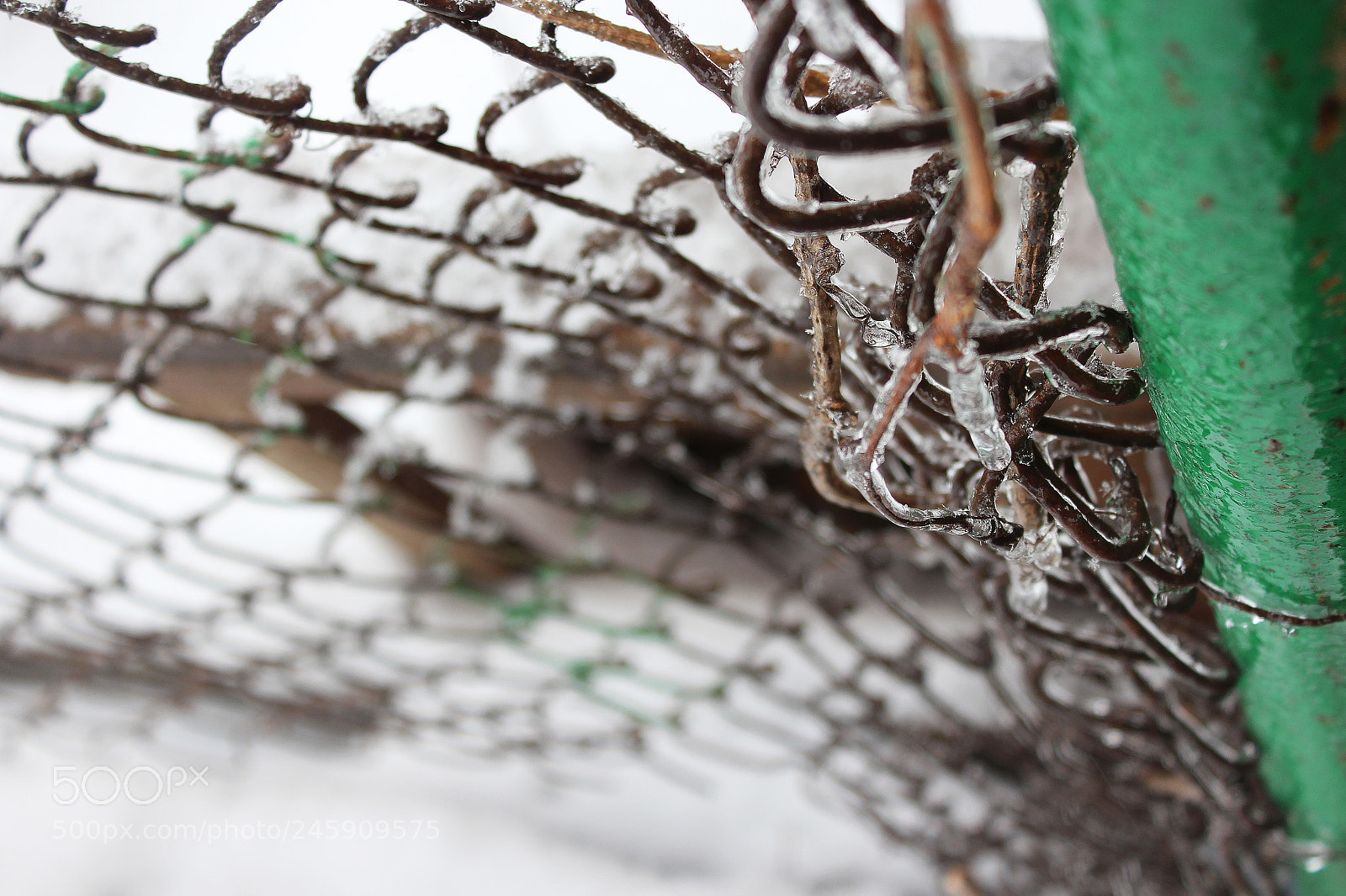 Canon EOS 650D (EOS Rebel T4i / EOS Kiss X6i) sample photo. Snowy day #4 photography