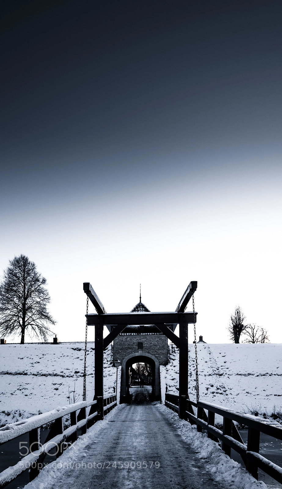 Nikon D90 sample photo. Frozen bridge photography
