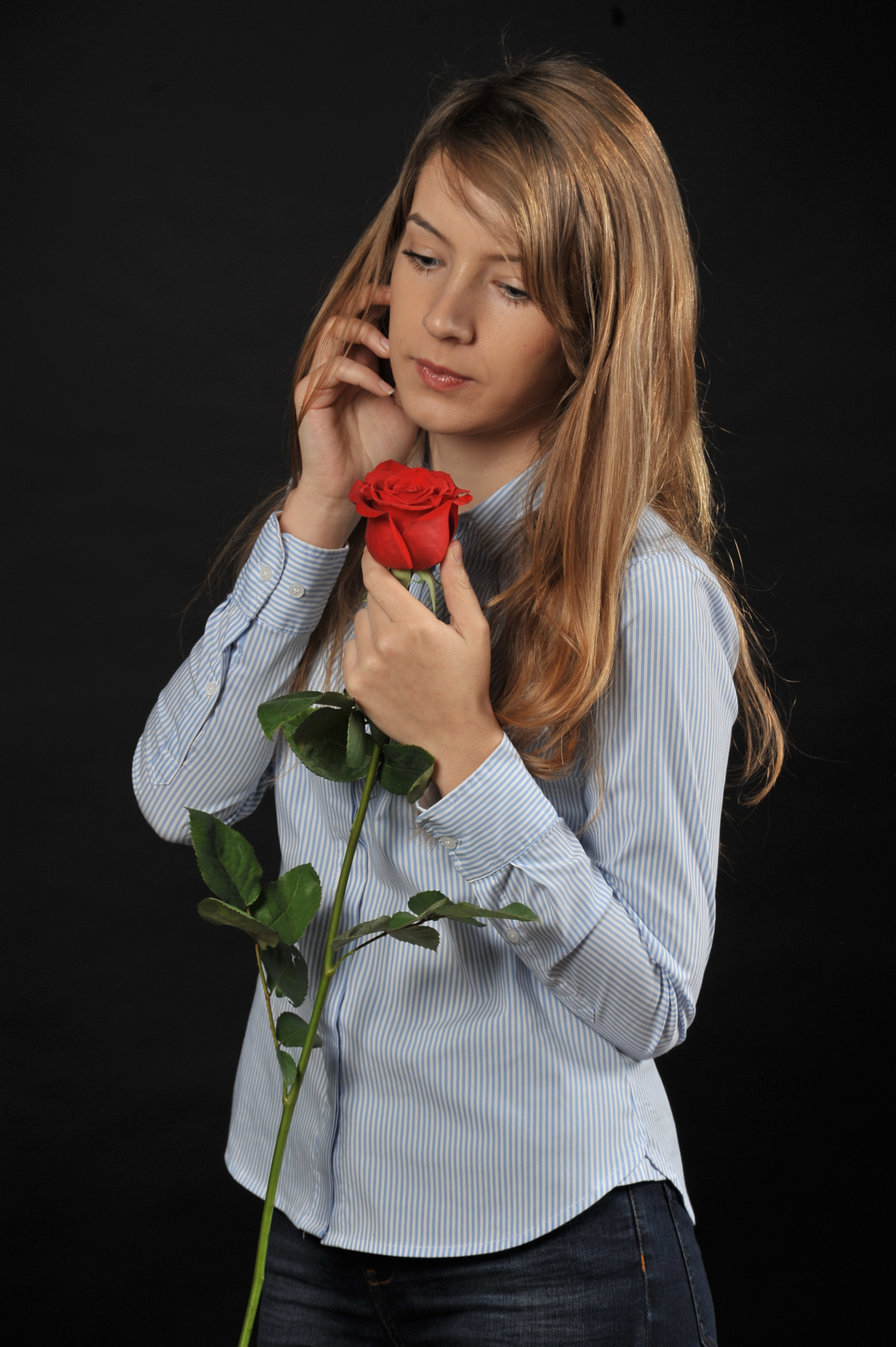 Nikon D700 sample photo. Beauty and the rose photography