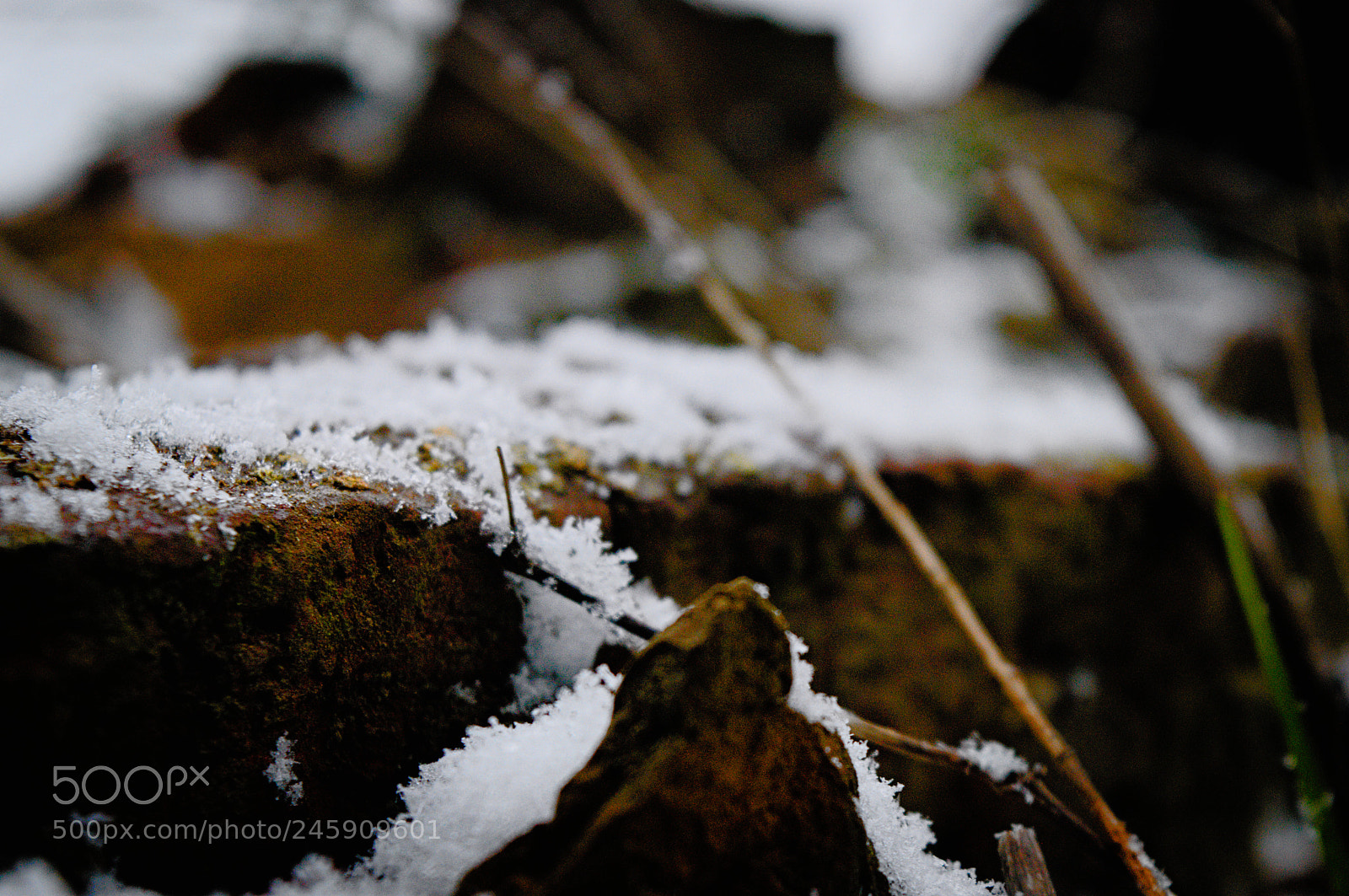 Nikon D3200 sample photo. Cold day photography