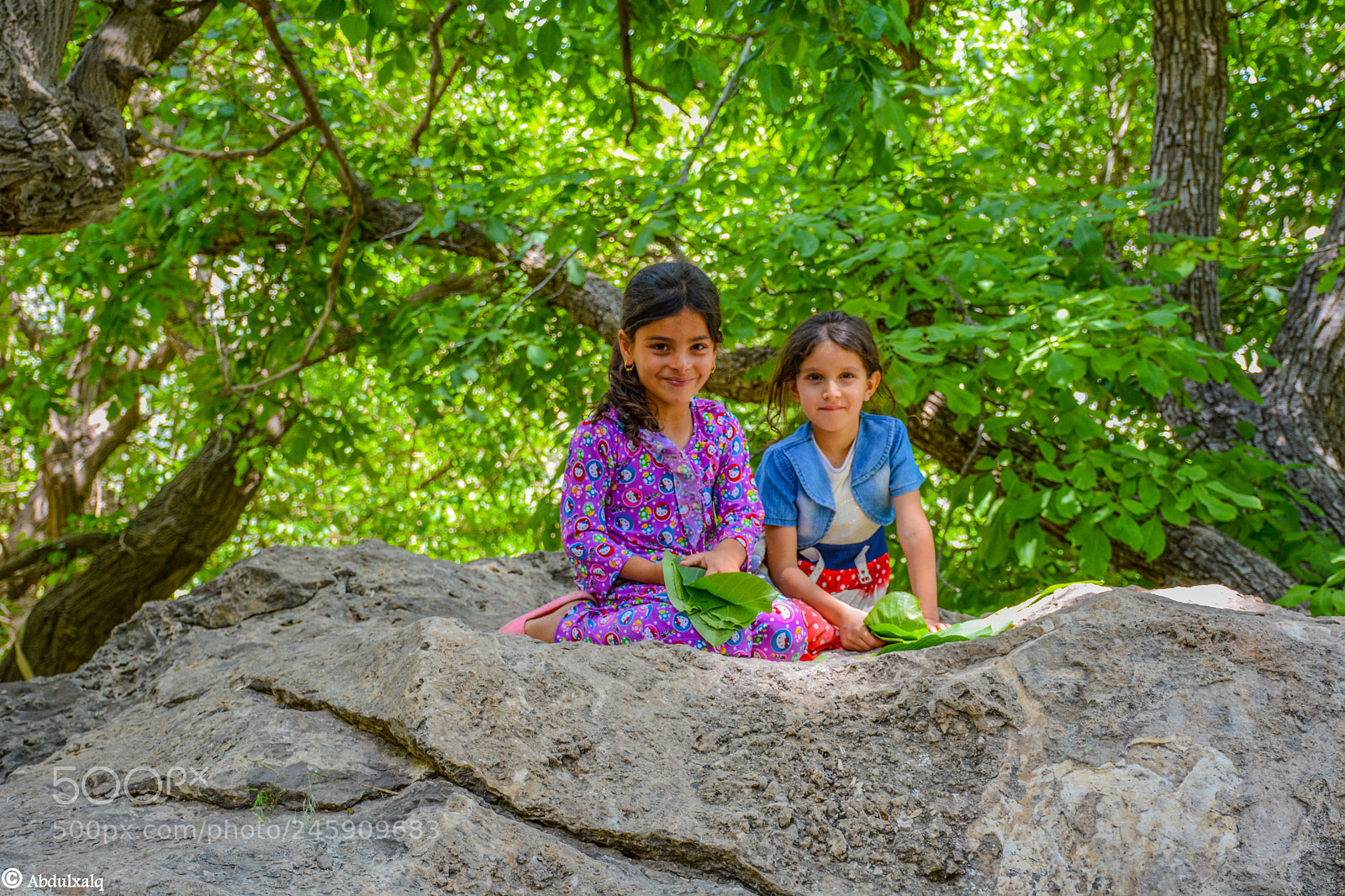 Nikon D7100 sample photo. Untitled photography