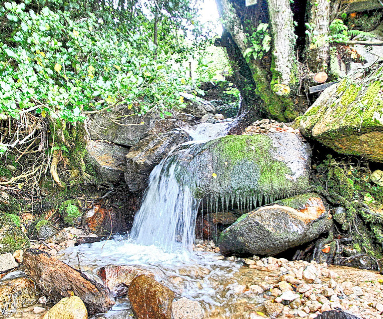 Nikon D3000 sample photo. Cascade photography