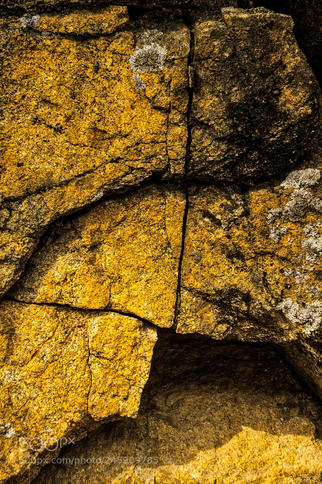 Pentax K-3 II sample photo. Hetch hetchy photography