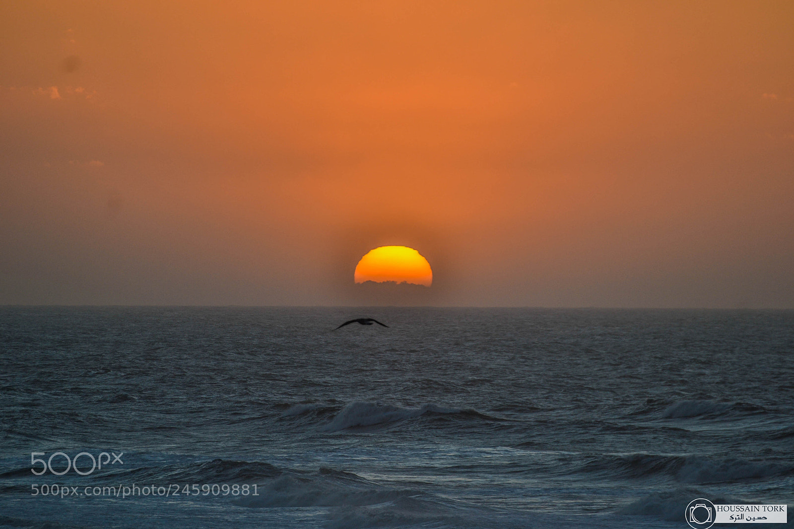 Nikon D3100 sample photo. Sunset view at sidi photography