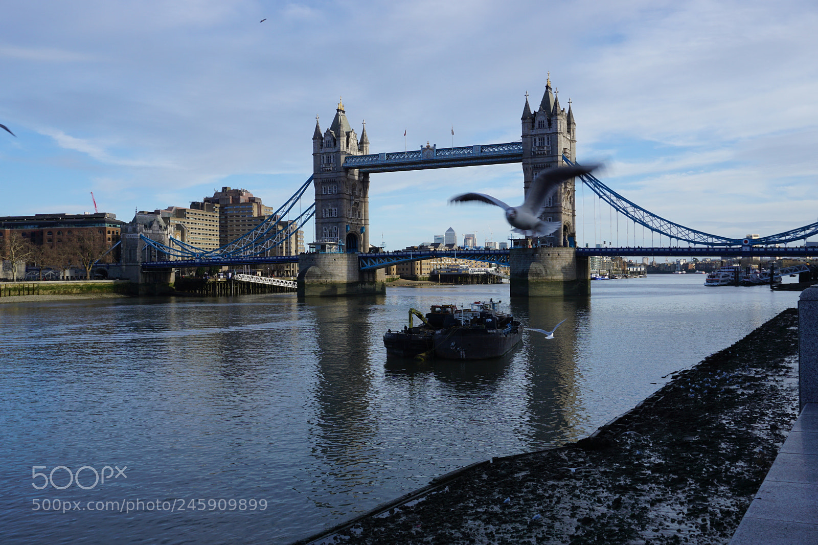 Sony a6000 + Sony E 18-50mm F4-5.6 sample photo. Tower bridge with seagulls photography