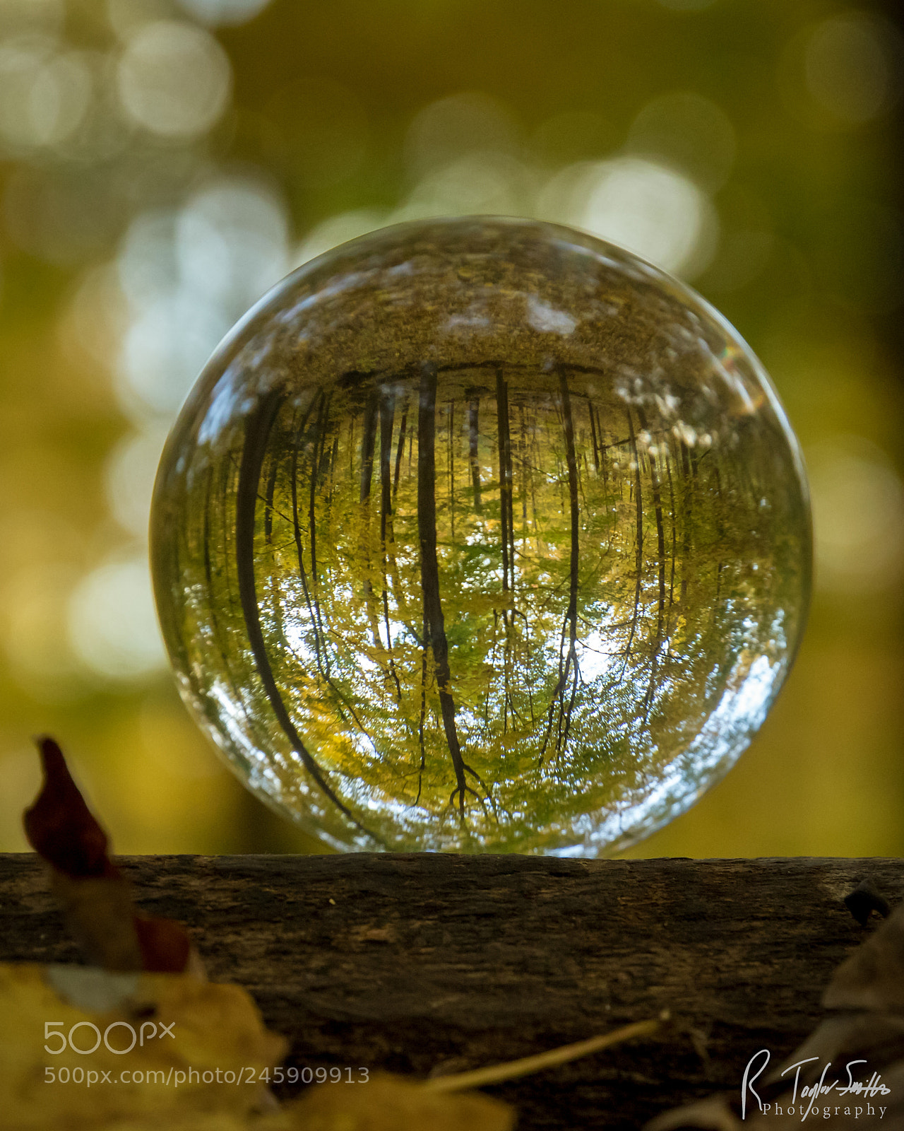 Canon EOS 7D Mark II sample photo. Fall ball photography