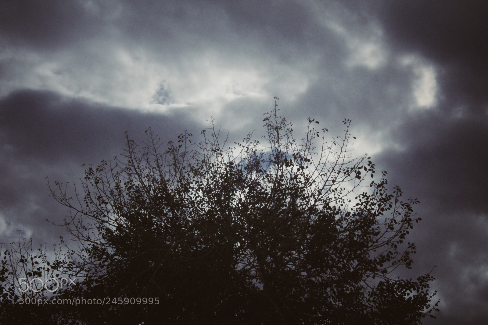 Canon EOS 1300D (EOS Rebel T6 / EOS Kiss X80) sample photo. Waiting for the storm photography