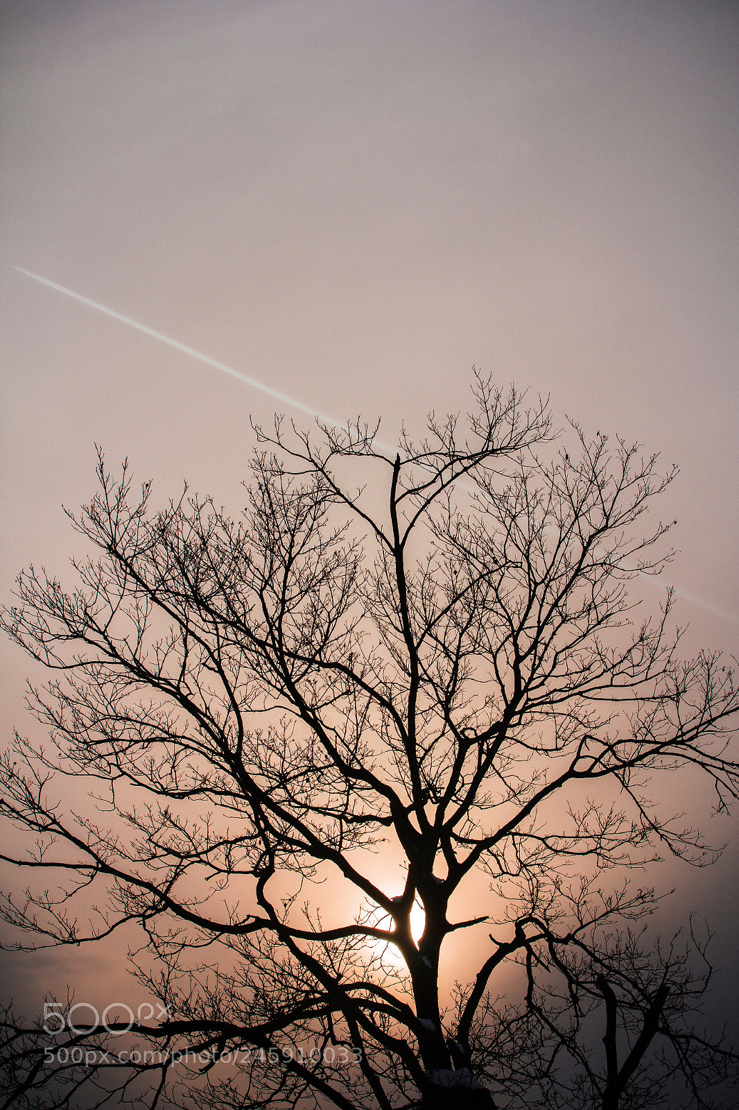 Canon EOS 550D (EOS Rebel T2i / EOS Kiss X4) sample photo. Until i found you photography