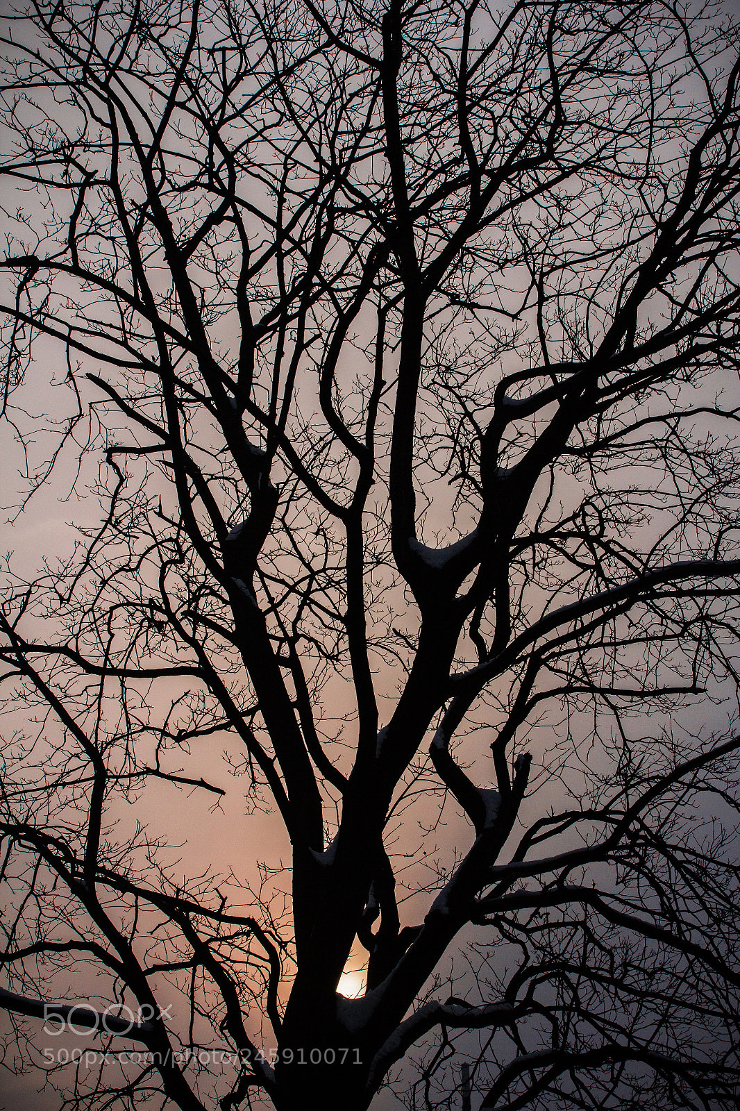Canon EOS 550D (EOS Rebel T2i / EOS Kiss X4) sample photo. Until i found you photography