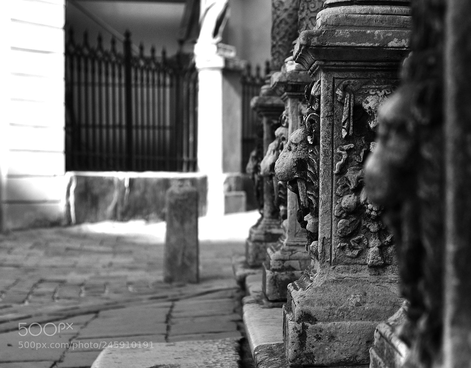 Nikon D90 sample photo. Stone lions photography