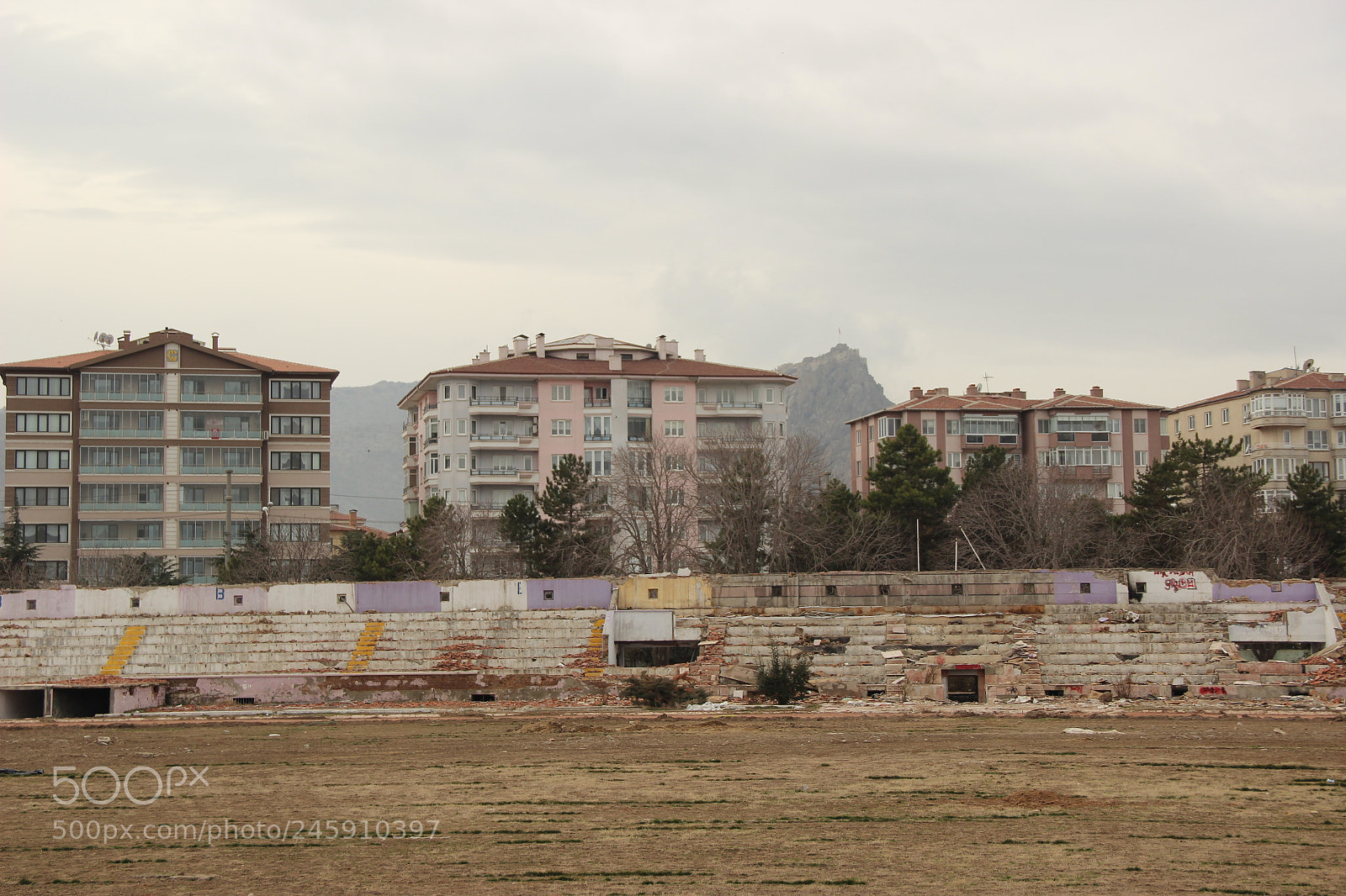 Canon EF-S 18-135mm F3.5-5.6 IS sample photo. Untitled photography